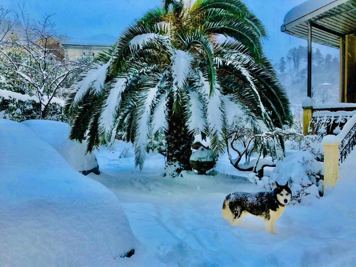 Holiday House Green Cape Batumi Hotel Mtsvane Kontskhi Exterior photo